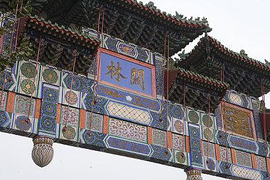 Pamela Burga成为暴雪全球首席多元化包容官